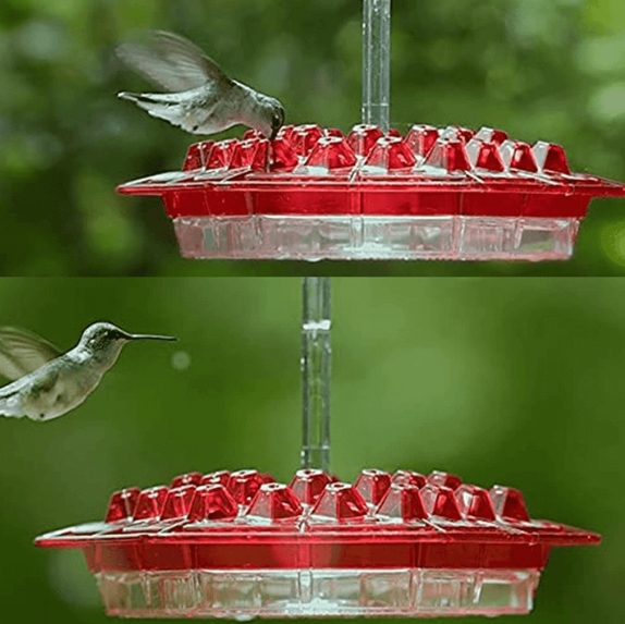 Hanging Hummingbird Feeder with Bee-Resistant Ports and 30 Feeding  Spots