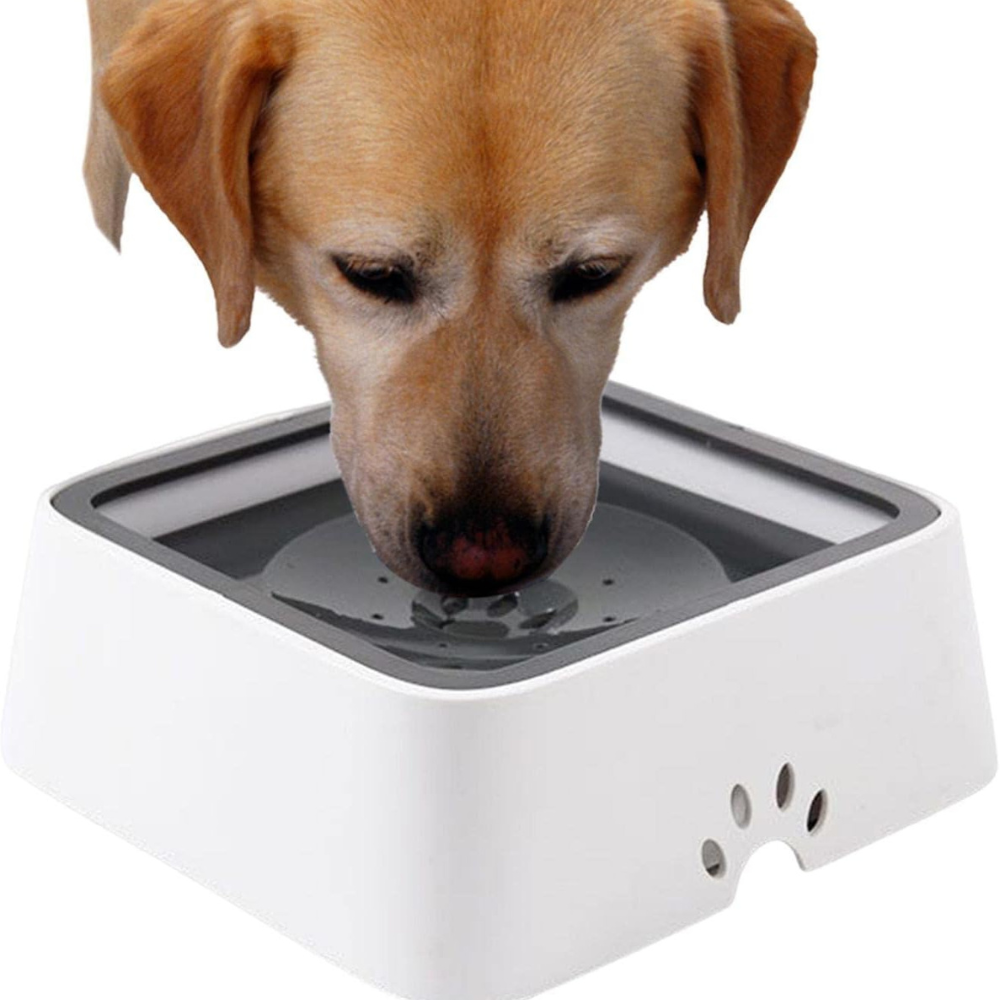 Dog Water Bowl with Floating Disk Control and Non-Slip Base, 1.5  Liter