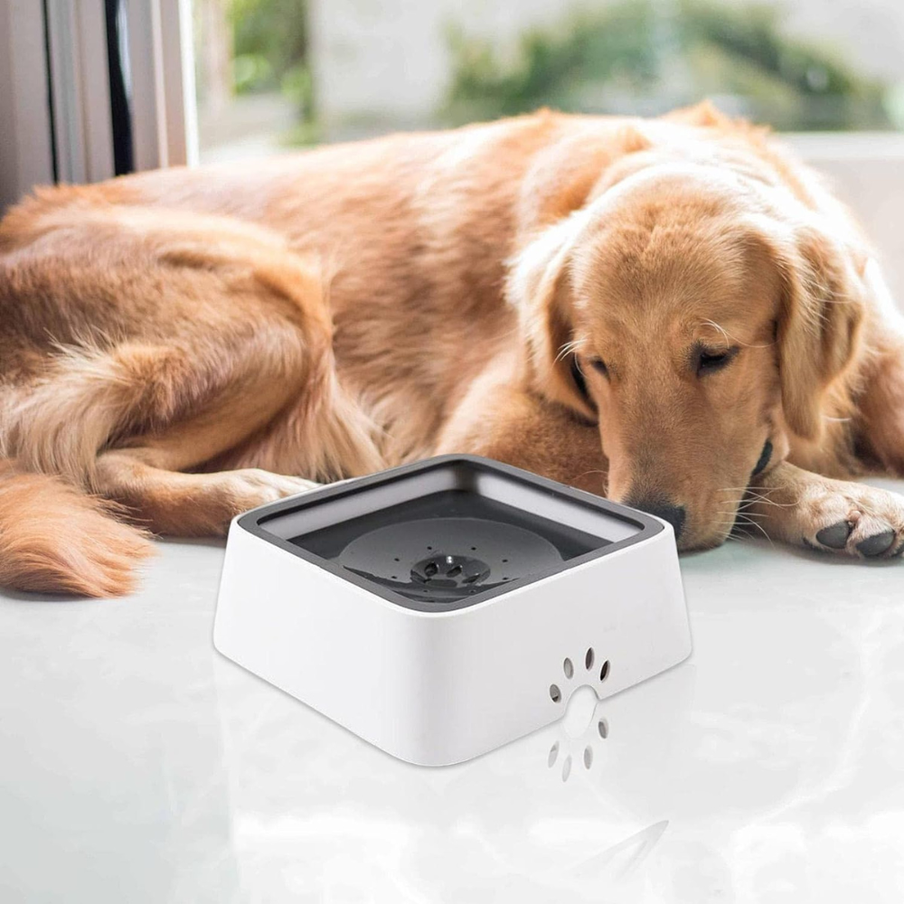 Dog Water Bowl with Floating Disk Control and Non-Slip Base, 1.5  Liter