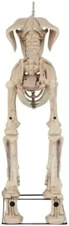 Generic Home Accents 7 ft. Skelly's Dog, White