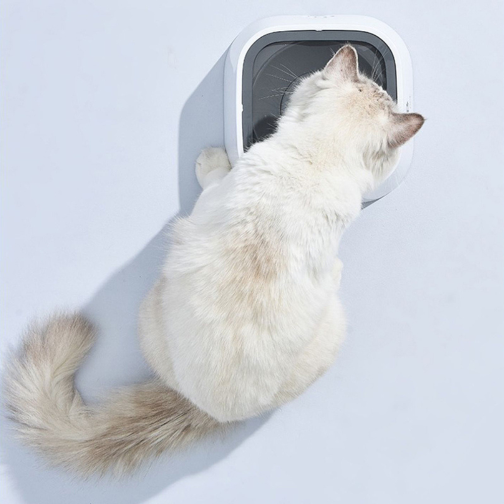 Dog Water Bowl with Floating Disk Control and Non-Slip Base, 1.5  Liter