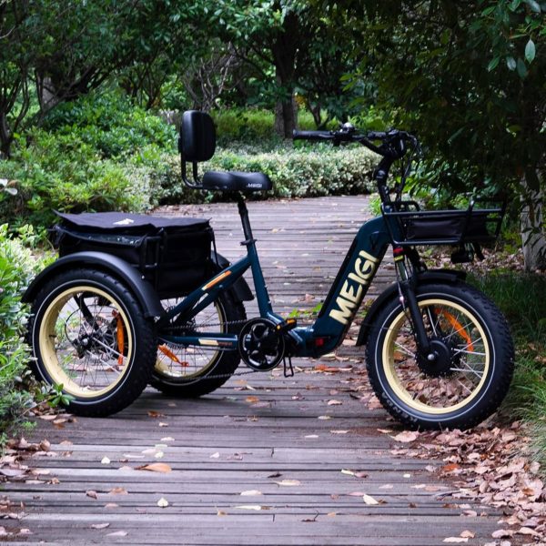 20-Inch 48V 750W Foldable Fat-Tire Electric Trike, 330-Lb. Capacity