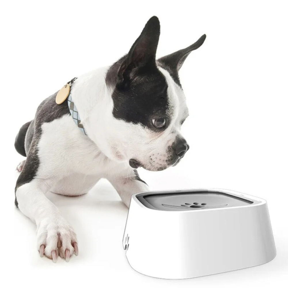 Dog Water Bowl with Floating Disk Control and Non-Slip Base, 1.5  Liter