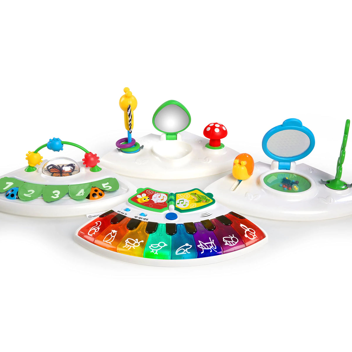 Baby Einstein Around Discovery Activity