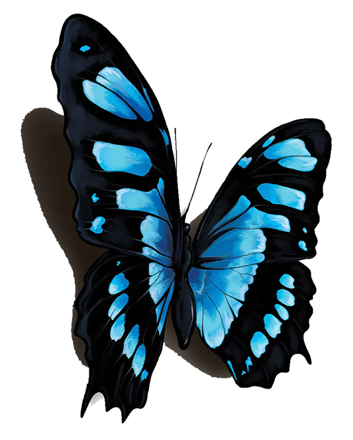 3D Realistic Temporary Tattoo with Water Transfer Application, 2.5x4  Inches