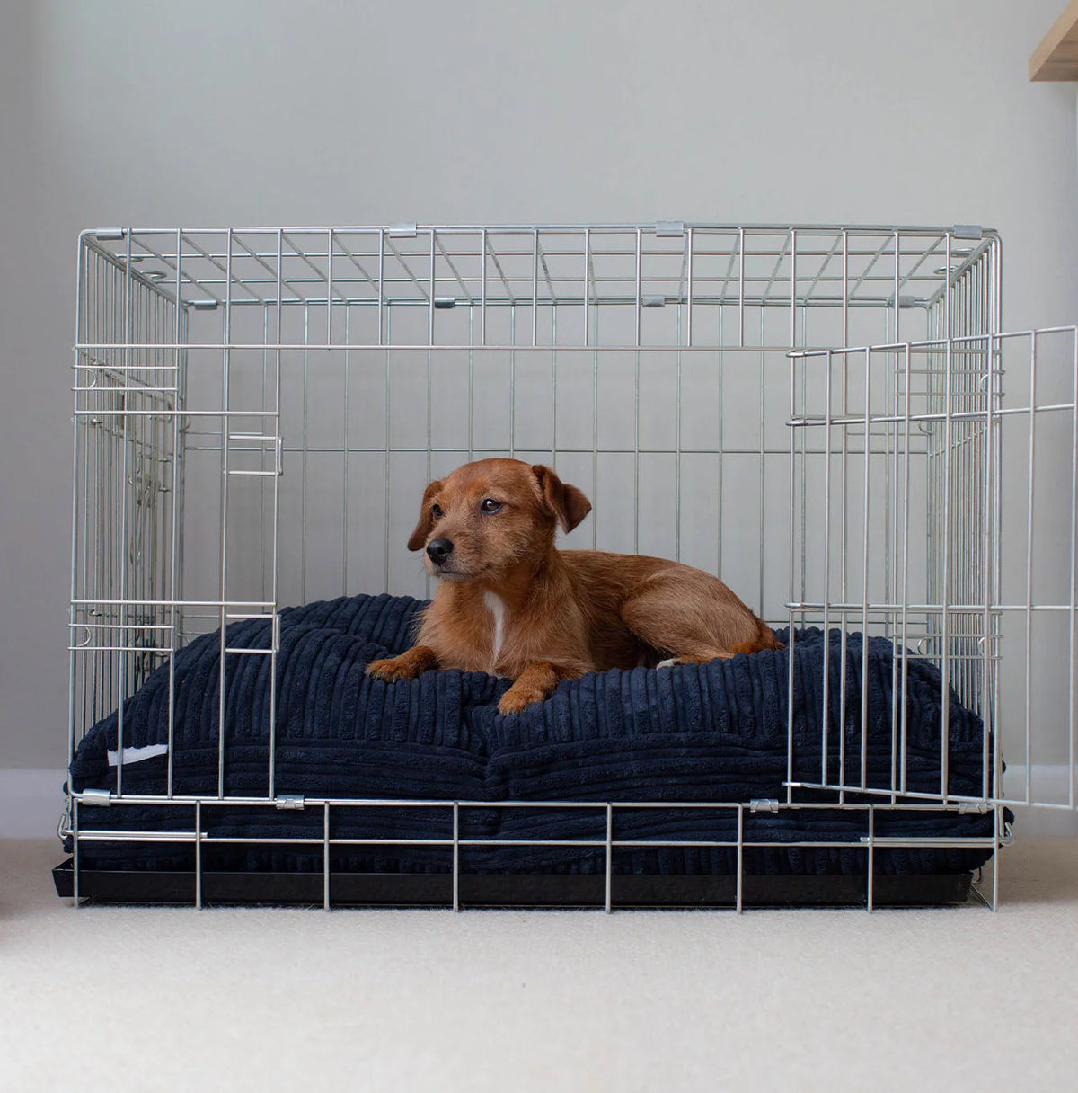 Dog Cushion in Navy Essentials