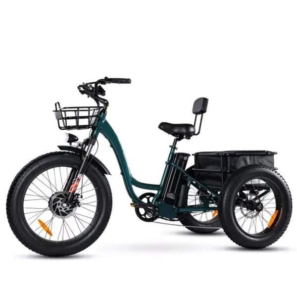 🏆Best Value – Electric Bike[750W]