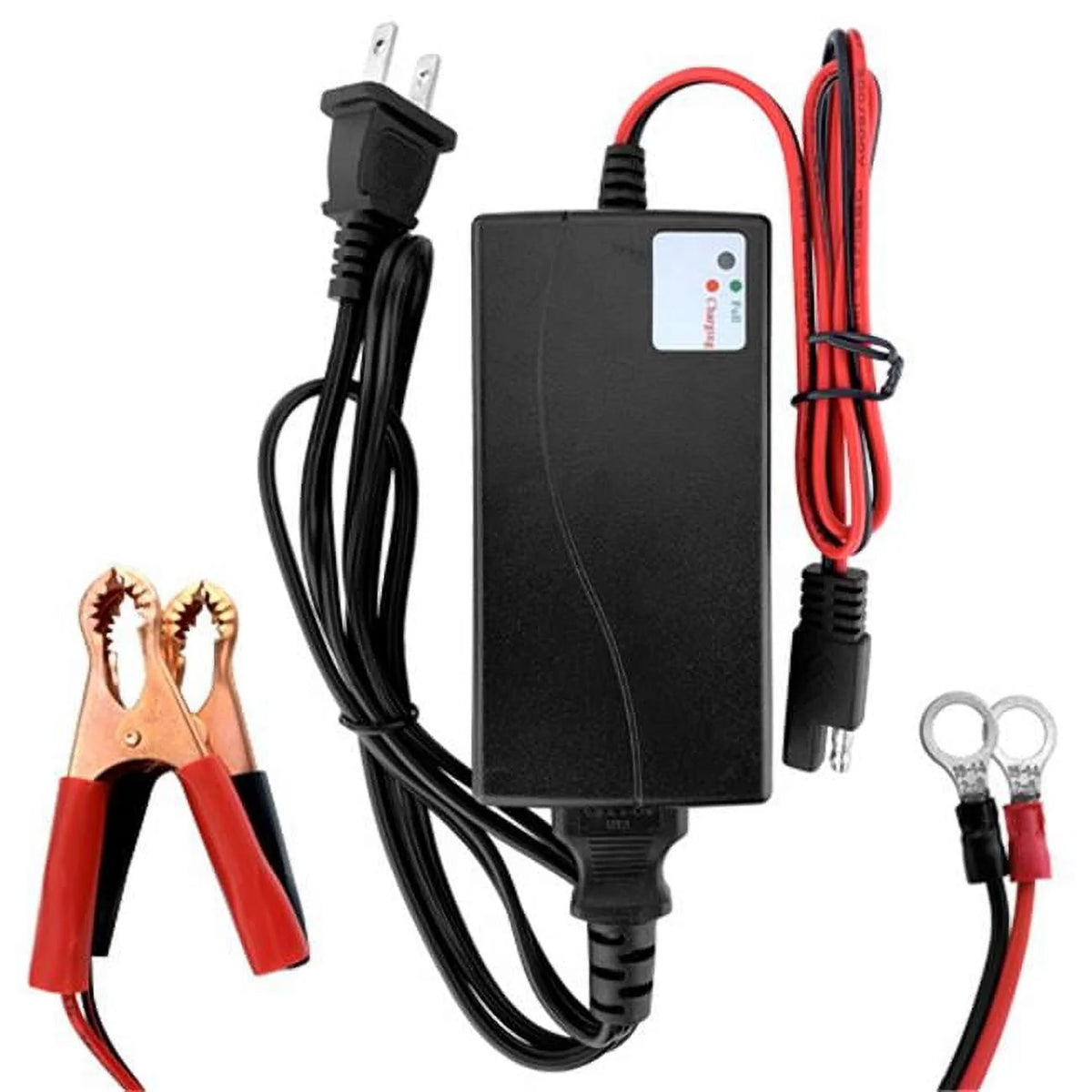 Banshee 12V Lithium Ion Battery Charger for Motorcycle
