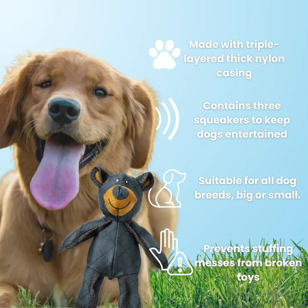 Dog Chew Toy with Reinforced Core and Textured Dental Surface, Buoyant Durable Design