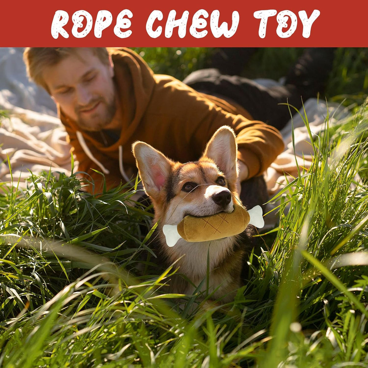 Dog Advent Calendar with 12 Interactive Toys and Squeaky Balls, Ropes for Small to Large Dogs