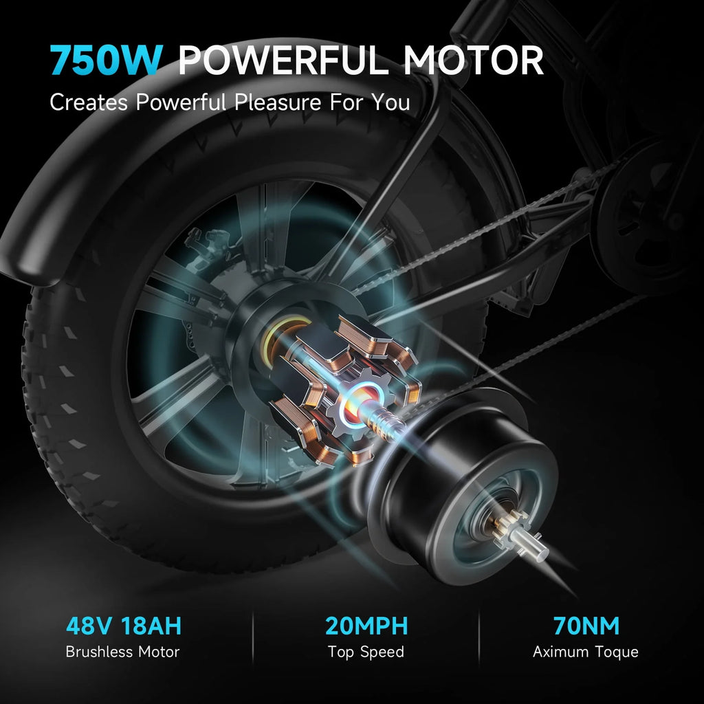 20-Inch Fat Tire Electric Bike, 750W, 48V 18Ah