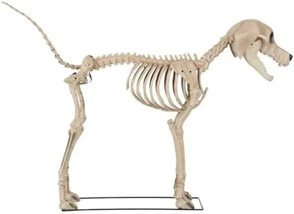 Generic Home Accents 7 ft. Skelly's Dog, White