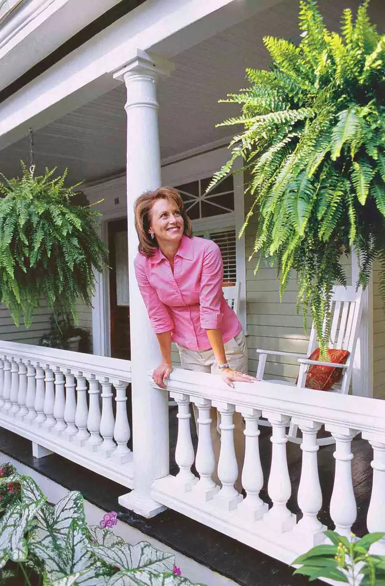 Artificial Boston Fern Bundle 18 Pack with UV Protection and Water  Shedding