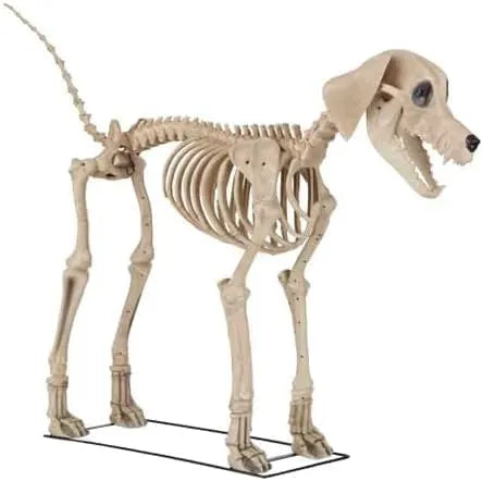 Generic Home Accents 7 ft. Skelly's Dog, White