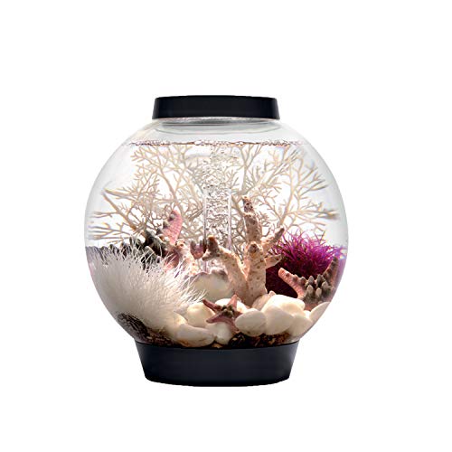 biOrb 8 Gallon Aquarium Multi Color Remote Controlled