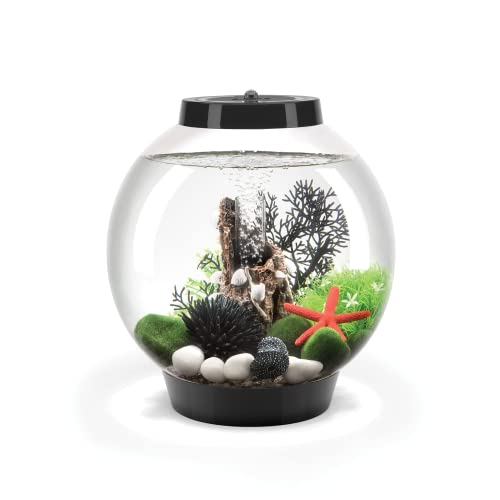 biOrb 8 Gallon Aquarium Multi Color Remote Controlled