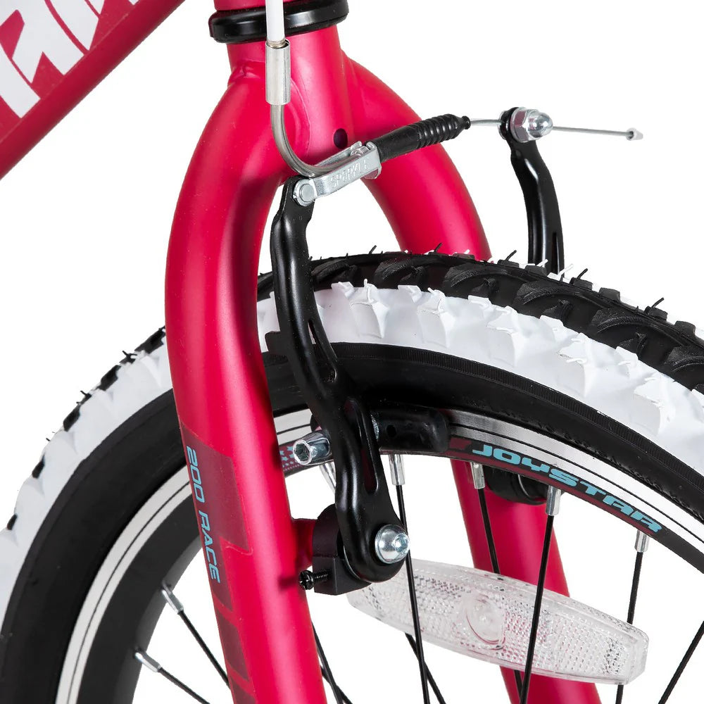 20/24-Inch Kids Mountain Bike, Single-Speed