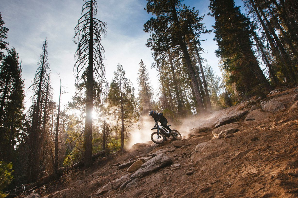 X260 Electric Off-Road Dirt Bike