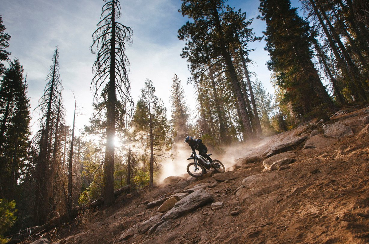 X260 Electric Off-Road Dirt Bike