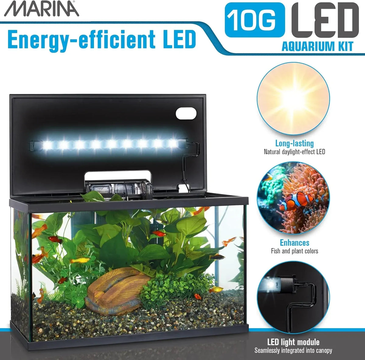 Marina LED Aquarium Kit, 10 gallon