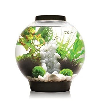 biOrb 8 Gallon Aquarium Multi Color Remote Controlled