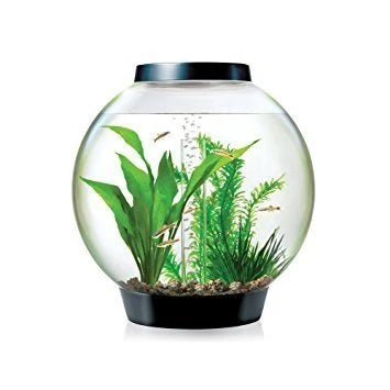 biOrb 8 Gallon Aquarium Multi Color Remote Controlled