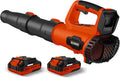 Leaf Blower, 21V Electric Cordless Blower, 2 X 2.0Ah Batteries and Charger Included, Lightweight Leaf Blower for Patio Cleaning, Lawn Care, Blowing Leaves and Dust, etc.
