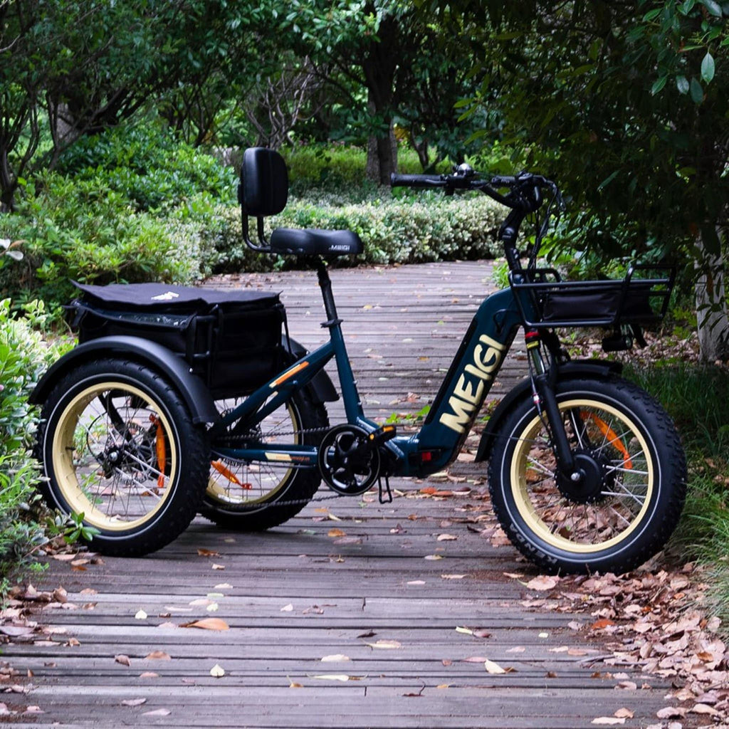 20-Inch 48V 750W Foldable Fat-Tire Electric Trike, 330-Lb. Capacity