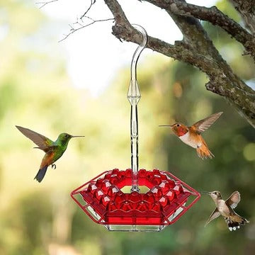 Ant-Resistant Feeder Design for Gardens, Patios, and Yard Spaces