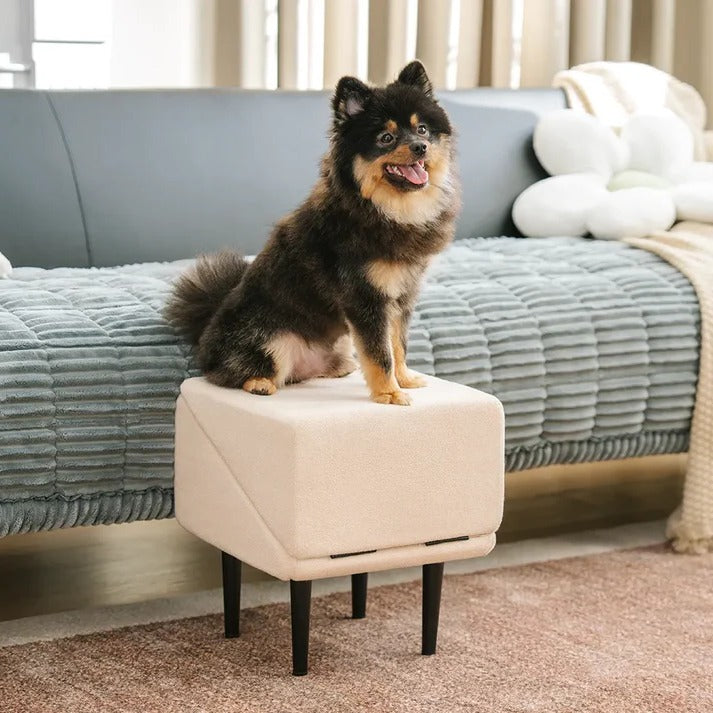 Convertible Dog Ramp with Padded Steps and Suction Cup Base for Beds and  Couches