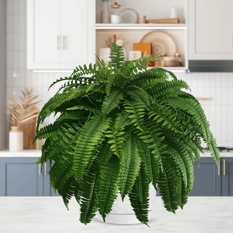 Artificial Boston Fern Bundle 18 Pack with UV Protection and Water  Shedding